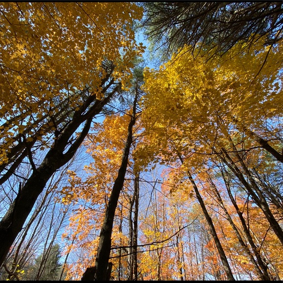 Meet your Posher - Picture 1 of 1